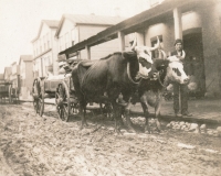 An Oxmobile. In 1875 a team of oxen pulling a wagon in front of Schuette Brothers store grain warehouse on a muddy Jay Street. The man standing with the oxen is likely Fred Wilke of Two Rivers, Wisconsin, the owner of the team.    (source://wisconsinhistory.org)